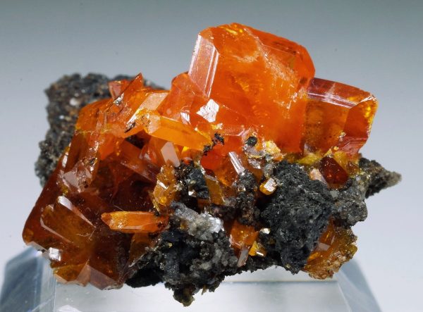 ウルフェナイト ウルフェナイト【Wulfenite】メキシコ産 | PEANUTS MINERALS