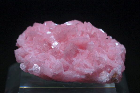 南アフリカ・ホタゼル産ロードクロサイトの綺麗な標本